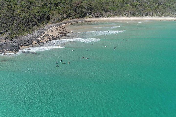 Noosa Ocean Adventures: Dolphins