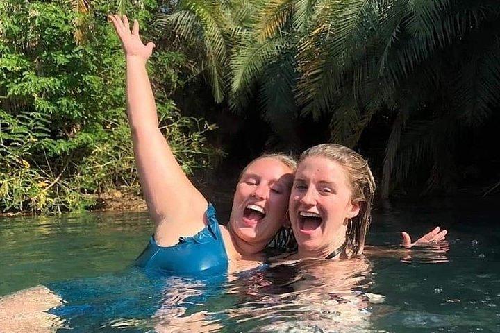 Kikuletwa Hot springs day trip