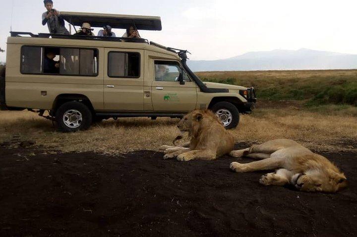 5 Day Silver Serengeti & Ngorongoro Crater & Tarangire Safari