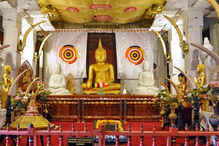 Amazing Sri Lanka ( 6N/ 7D)