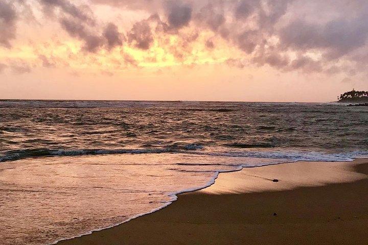 Best Of Sri lanka Tour (06 Days 05 Nights) - Kandy- N.Eliya -Bentota-Colombo