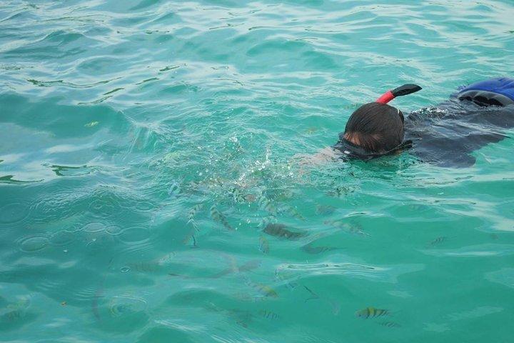 Koh Tan and Koh Madsum Snorkeling Trip By Speedboat From Koh Samui