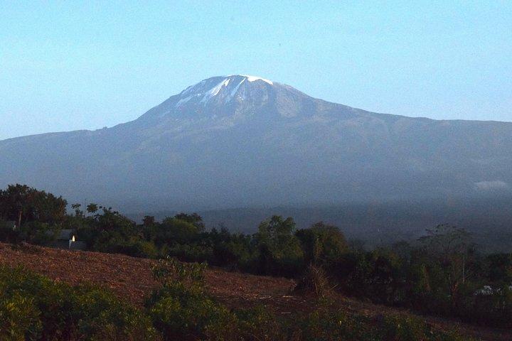Kilimanjaro Day Trip -Marangu Route