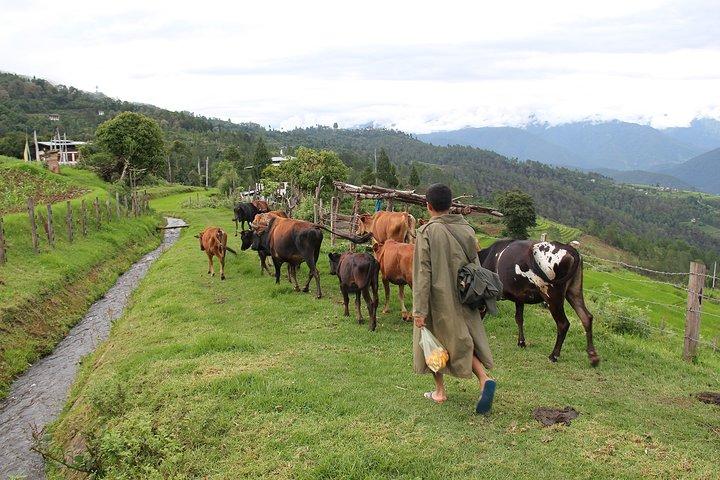 10 Days Essence of BHUTAN