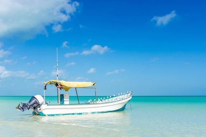 Holbox, all its beauty in 1 day (round trip, lunch and guided visit included)