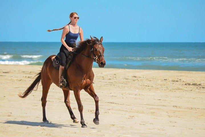 Cabo San Lucas Horseback Ride on Beach and Desert