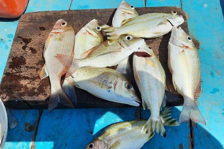 Private Boat Fishing Day Trip From Koh Samui