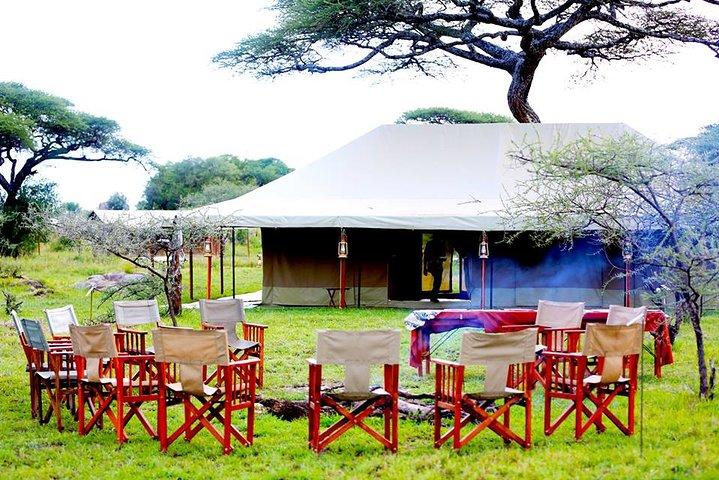 8 Days 7 Nights Tanzania Wildlife & Culture Lodge Safari