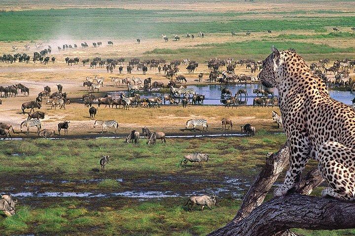 8 Days 7 Nights Tanzania Wildlife & Culture Lodge Safari