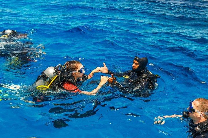 Antalya Scuba Diving at Mediterranean Sea incl. Lunch