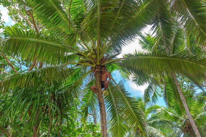 Half-Day Muri Lagoon BBQ Lunch Cruise including Snorkeling