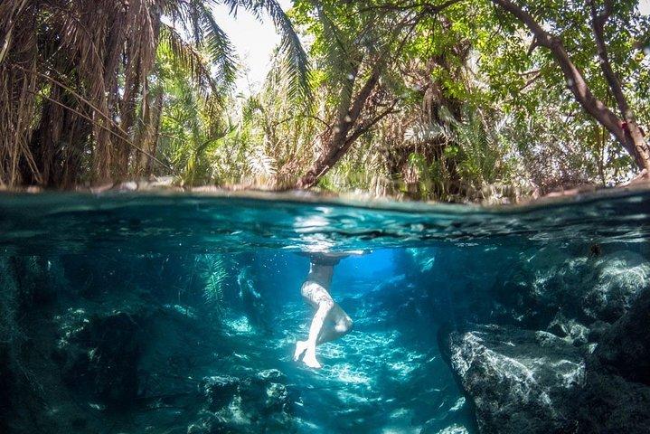 Kikuletwa Hotsprings-Day Trip