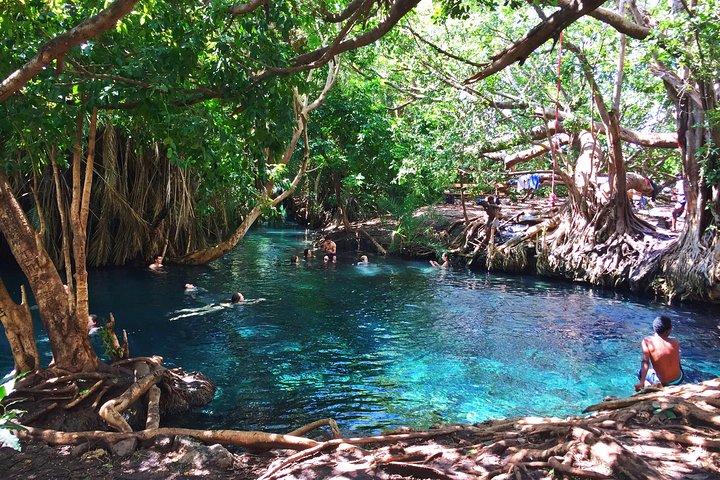 Kikuletwa Hotsprings-Day Trip