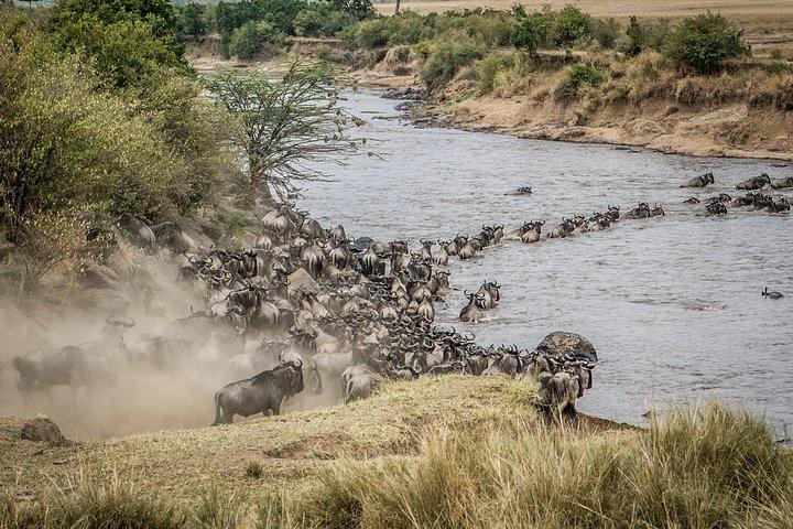 10-Day Private Safari in Tanzania