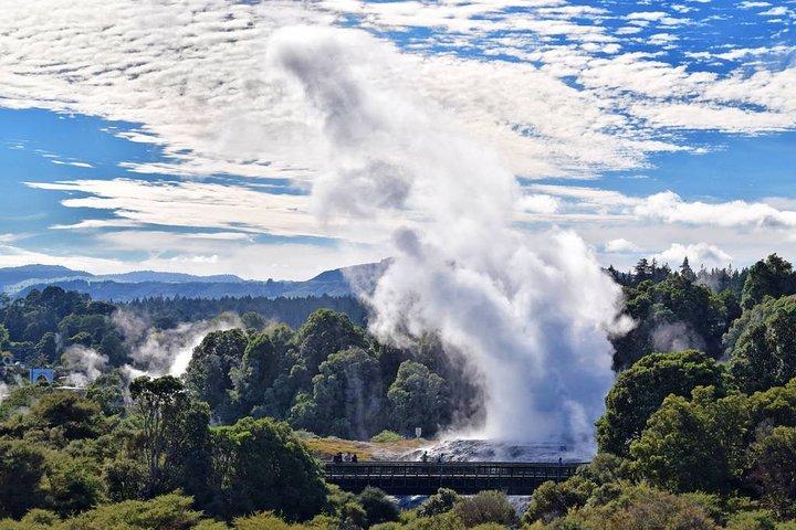 Te Puia Geothermal Wonderland Private Tour From Auckland