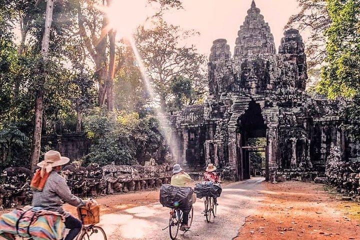 4-Day Tour(The Amazing Face, Jungle of Temple & Holy Clay)