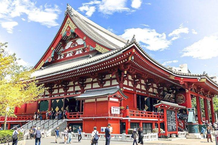 Departure Private Transfer: Tokyo to Haneda Airport HND in Van