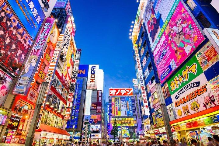 Departure Transfer: Tokyo to Narita Airport NRT by Sedan Car
