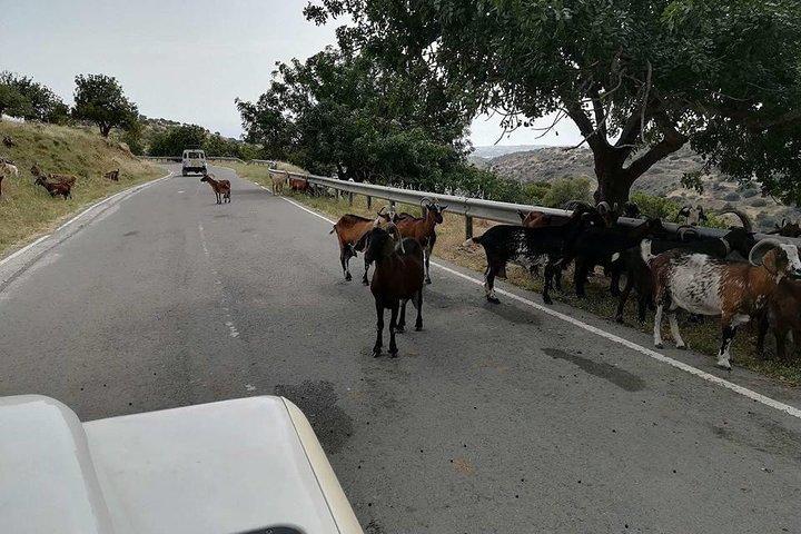 Jeep Safari Troodos - Kykkos monastery Waterfall and Venetian bridge from PAPHOS