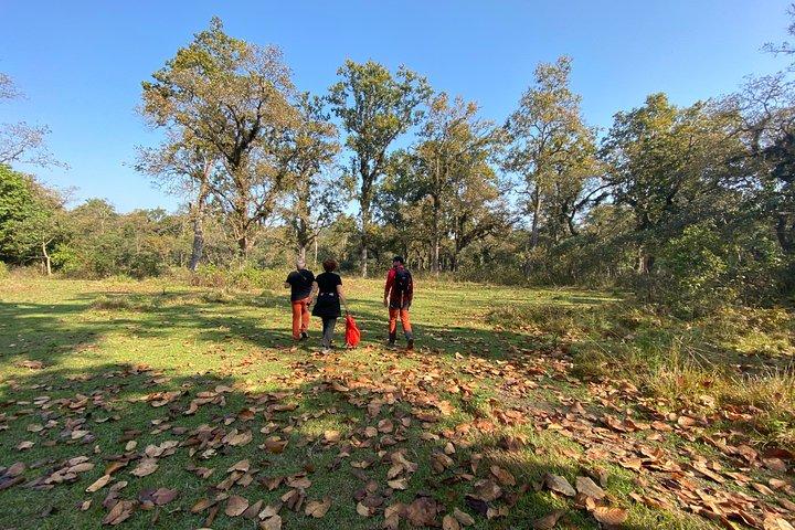 1 Night 2 Days Chitwan Jungle Safari Tour from Pokhara or Kathmandu