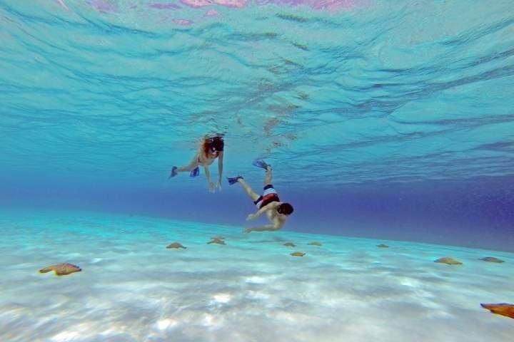 Explore El Cielo in Cozumel. Snorkel in 3 different reefs & visit Cielito Beach.