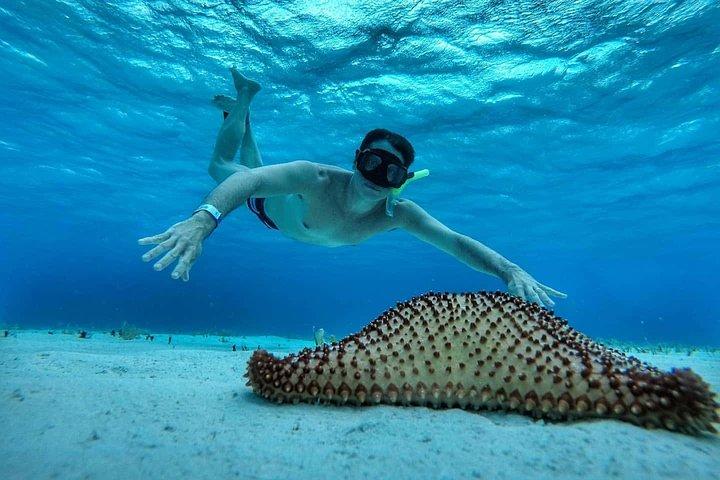 Explore El Cielo in Cozumel. Snorkel in 3 different reefs & visit Cielito Beach.