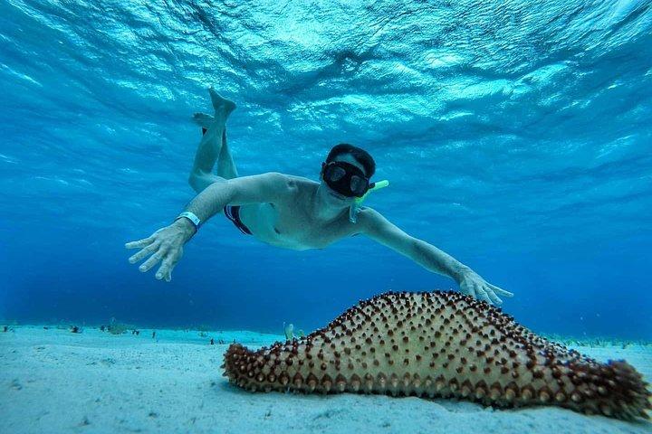 El Cielo Cozumel, a paradisiacal tour. Be amazed by the stars near to you.