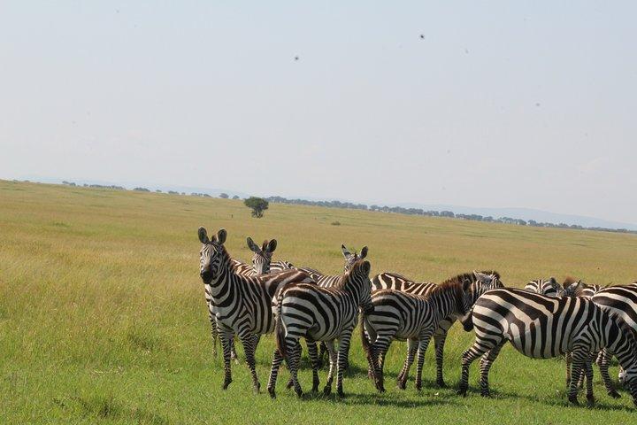 2-Day Tour in Tarangire and Ngorongoro