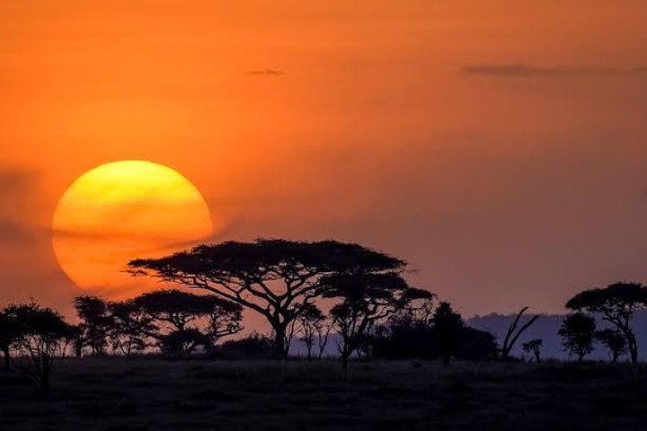 Arusha National Park Full-Day Safari