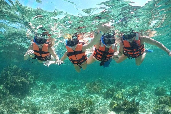 Speedboat and snorkel adventure