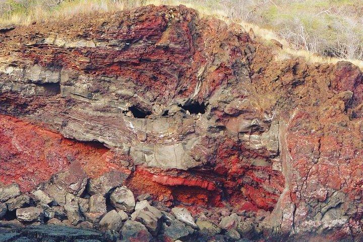 Big Island Historical Dinner Cruise to Kealakekua Bay