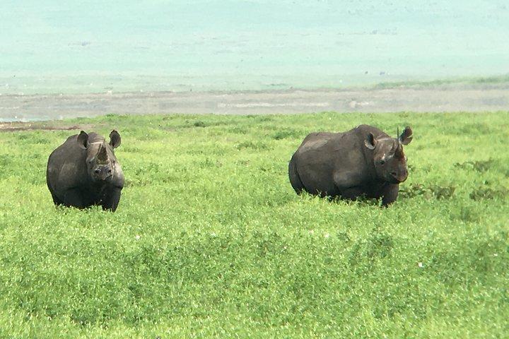 2 Days Safari-Tarangire and Ngorongoro Crater