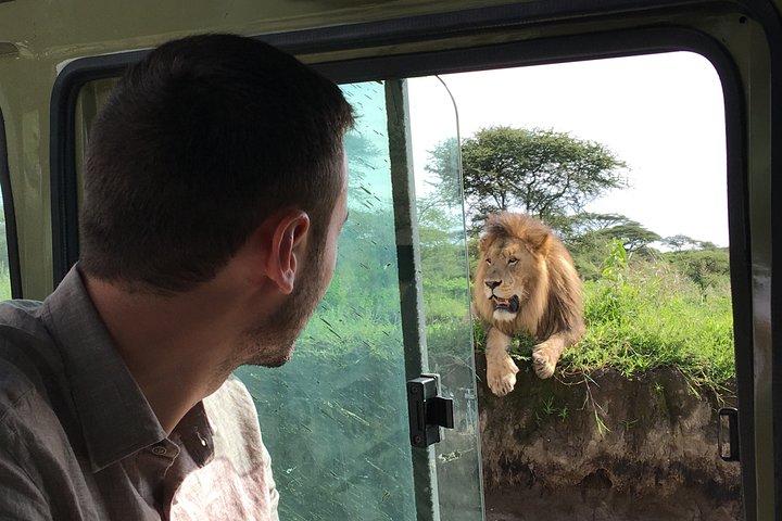 2 Days Safari-Tarangire and Ngorongoro Crater
