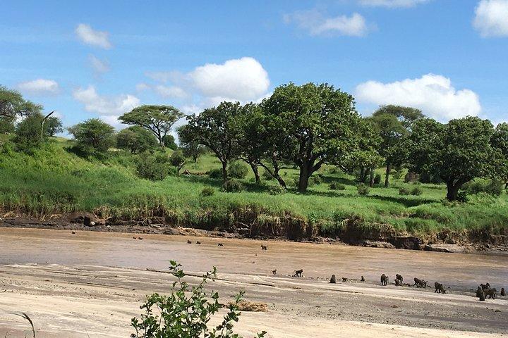 2 Days Safari-Tarangire and Ngorongoro Crater