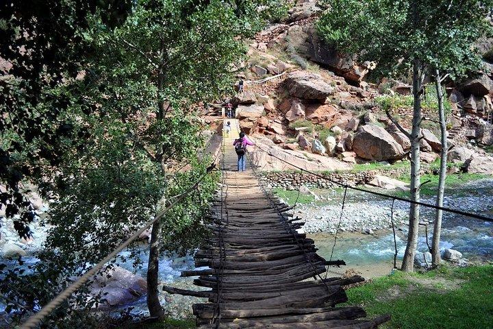 Full-Day Private Tour to Ourika Valley from Marrakech