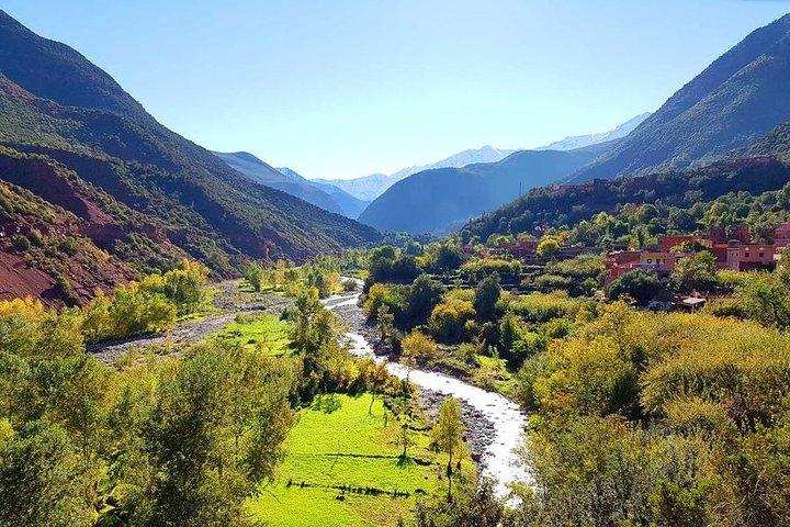 Full-Day Private Tour to Ourika Valley from Marrakech