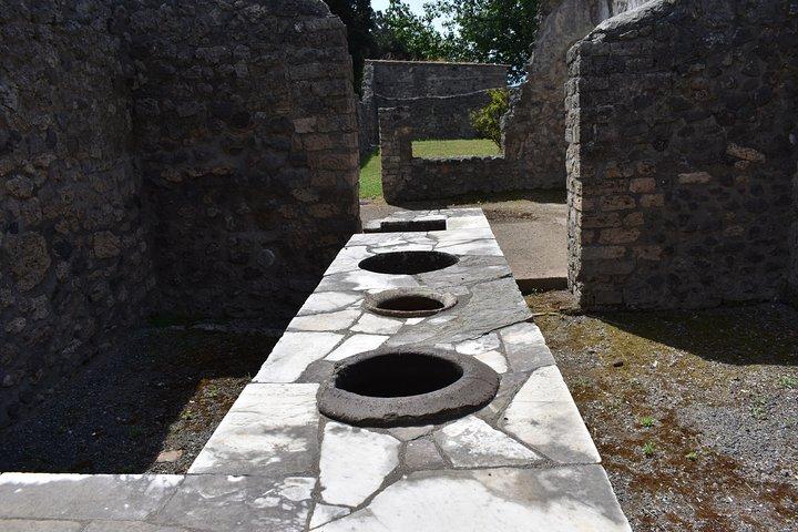 Private Pompeii & Herculaneum Archaeological sites tour from Rome