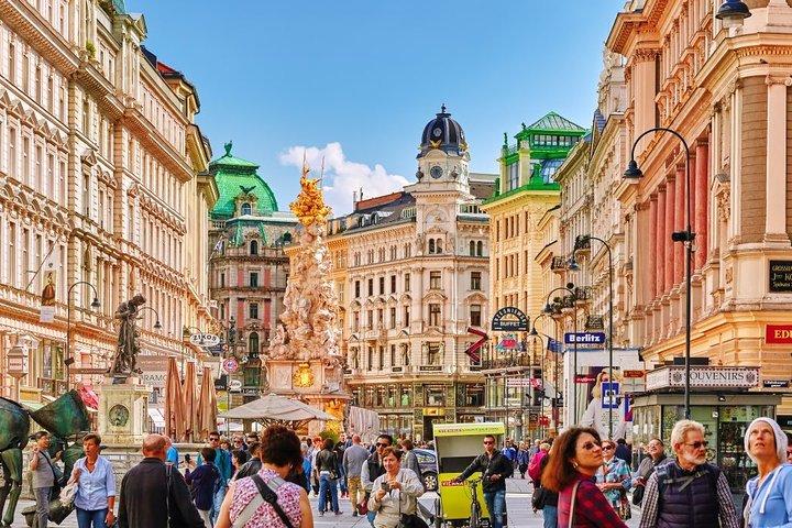 Arrival Transfer: Vienna Airport VIE to Vienna by Luxury Van