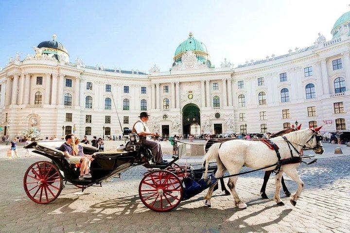 Arrival Transfer: Vienna Airport VIE to Vienna by Luxury Van
