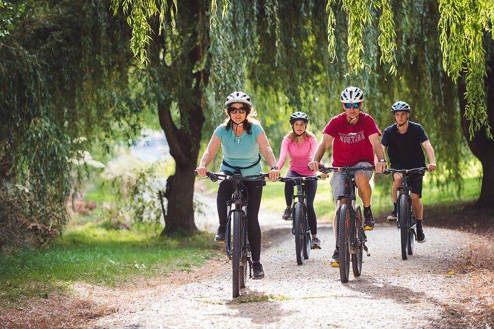 Explore Queenstown's Scenic Trails with an Electric Bike