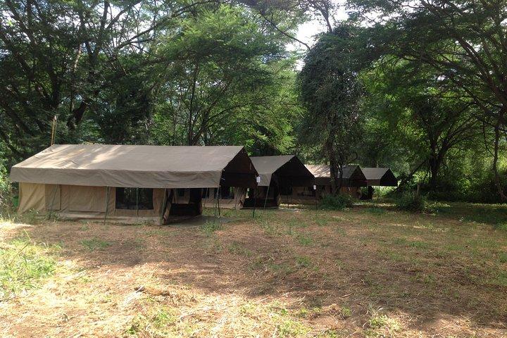 Tanzania 8 Day Private Safari Experience