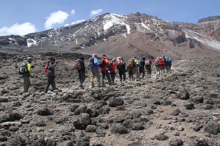 6-Day Mount Kilimanjaro Private Tour via Machame Route