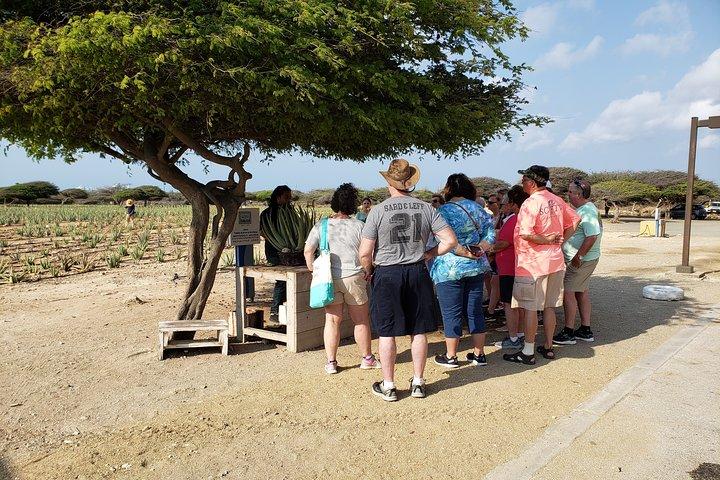 Private Tour: Essential Tour of Aruba