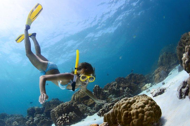 Amazing Snorkeling Experience in Cancun