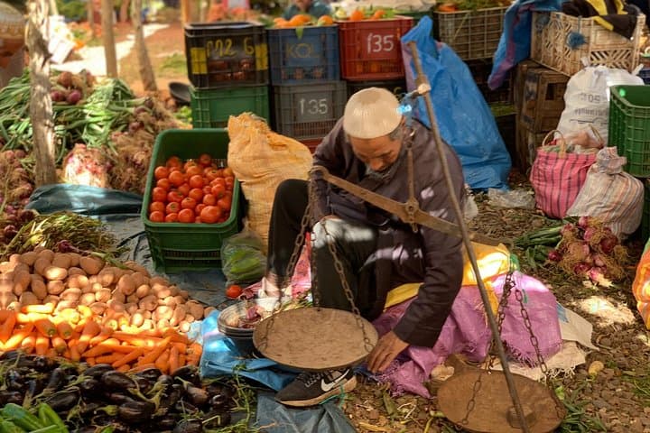 4 valleys, Atlas Mountains, Waterfalls & Home Cooked Lunch