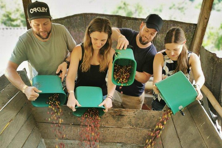 Private Comuna 13 & Coffee Farm Tour in Medellin | The Best Combo