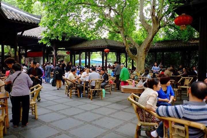 Private Tour: Chengdu Panda Breeding and Research Center Tour