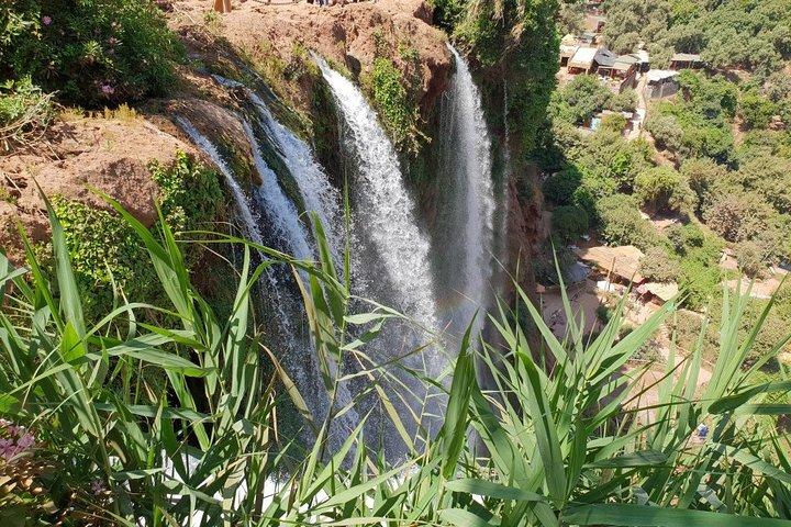 Ouzoud waterfalls day trip excursion from Marrakech
