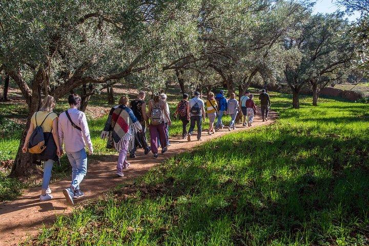 Ouzoud waterfalls day trip excursion from Marrakech