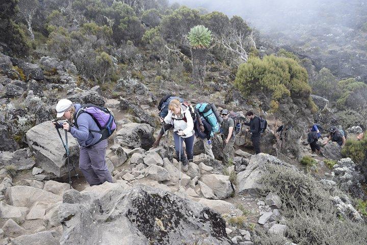 Mt. Kilimanjaro 5 Days Trek - Marangu Route